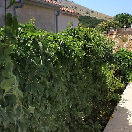 Secluded Fisherman's Cove Statival, Kornati - 8164 別荘