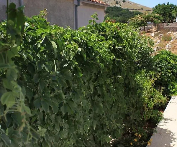 Secluded Fisherman's Cove Statival, Kornati - 8164 Holiday home